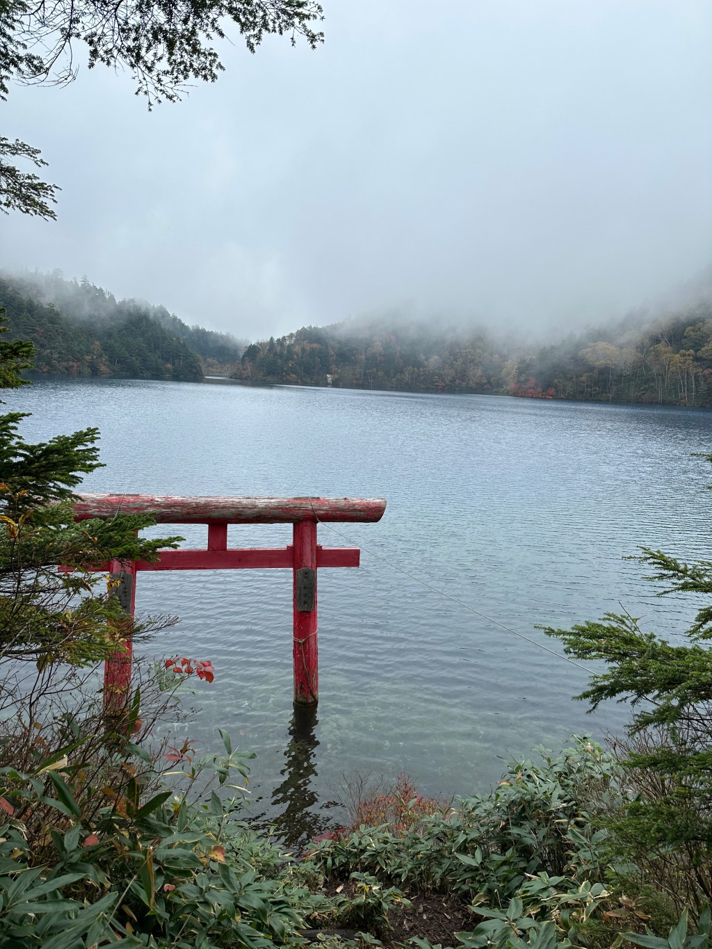 How to Stay&nbsp;Asleep