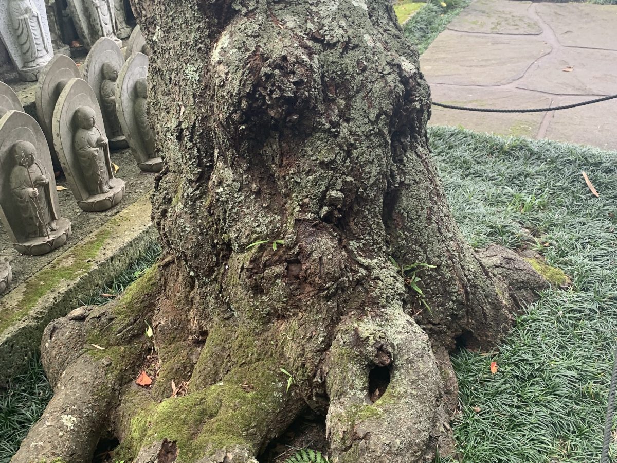 Listening to the&nbsp;Land