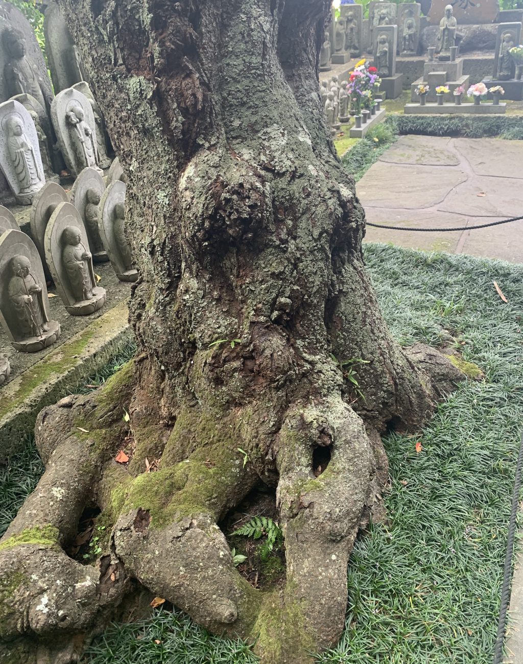 Listening to the&nbsp;Land